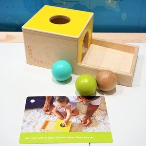 Lovevery Complete Ball Drop Set